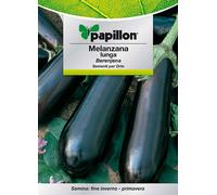10 Confezioni Di Semi Per Orto "Melanzana Lunga" Papillon