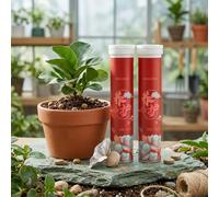 10 Conteggi Nutrienti Piante Biologici a Rilascio Lento per Giardinaggio Interno