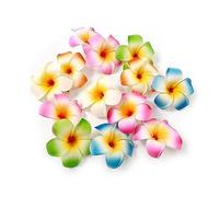 10 fermagli per capelli colorati hawaiani con fiori hawaiani, fermagli per capelli per feste in spiaggia, forcine tropicali artificiali, per matrimoni, 7 cm, clip e mollette, fermagli per capelli