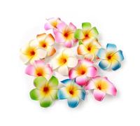 10 fermagli per capelli multicolore a forma di fiore hawaiano, 7 cm, in schiuma, forcine per capelli con fiori tropicali artificiali, per spiaggia, vacanze, matrimoni (7 cm)