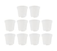 10 fioriere in plastica trasparente per piante grasse ed erbe aromatiche con design trasparente per un facile monitoraggio della crescita (10,2 cm)