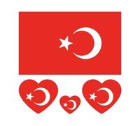 10 fogli di bandiere di paesi festivi del Belgio, Messico, Svizzera, Turchia, adesivo for tatuaggi, bandiera, tatuaggio temporaneo (Color : Color-019, Size : A)