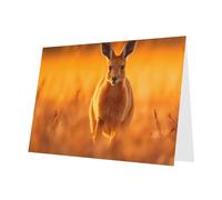 10 fogli di biglietti di auguri con canguro che saltano con busta rossa, adatti come biglietti di invito per anniversario di matrimonio e feste