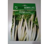 Semi Di Zucca Buon Gusto IN Busta Originale Certificato Vegetale