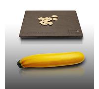 10 Grines à semer - Le Grenier d'Abondance - COURGETTE Gold Rush Hybride F1 - Cucurbita Pepo