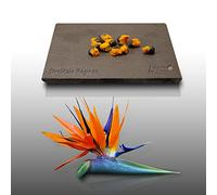 10 Grines à semer - Le Grenier d'Abondance - OISEAU DU PARADIS - Strelitzia Reginae