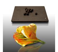 10 Grines di Fleurs à semer - Le Grenier d'Abondance - CANNA - Canna indica