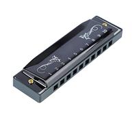 10 Hole 20 Tune Harmonica, C Key Professional Standard Buth Organ Music Strumenti con Case for Kid Beginner (Nero)