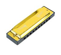 10 Hole 20 Tune Harmonica, C Key Professional Standard Buth Organ Music Strumenti con Case for Kid Beginner (Oro)