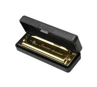 10-hole C-tune harmonica, stainless steel material, with plastic harmonica case for easy maintenance