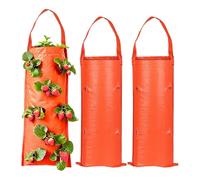 10 Holes Upside Down Tomato Planter - Upside Down Floating Fabric Pot