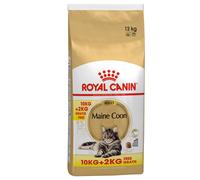 10 kg + 2 kg gratis! 12 kg Royal Canin Feline Crocchette per gatto - Maine Coon Adult