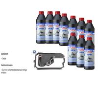10 L Liqui Moly ATF III VAICO Filtro Olio Cambio Per Renault Scénic II 1.6 16V
