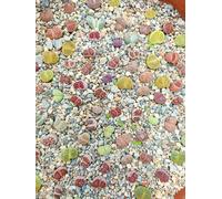 10 Lithops Sassi Viventi Del Karoo 1,5 - 2,5 Cm Colori Assortiti + Omaggio