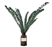 10 naturali di eucalipto per la doccia, in pianta verde di eucalipto, da appendere, per spa, casa, profumo, bagno, matrimonio, balcone, doccia