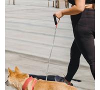 10 Pcs Accessorio Per Guinzaglio Manicotti Spugna Il Animali Domestici