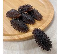10 Pcs Gourmet Ingredient for Asian Cuisine Decorativo Cetriolo Mare