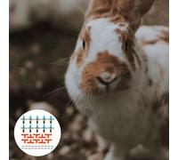 10 Pcs Mangiatoia Per Conigli Bevitore Di Animali Domestici Piccoli