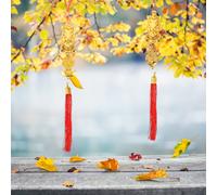 10 Pcs Ornamento Cinese Da Appendere Ornamenti Pendenti Per Il Capodanno