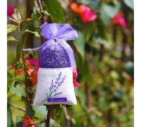 10 Pcs Sacchetto Per Lavanda Sacchettini Borse Alla Donna Bustine Con Coulisse