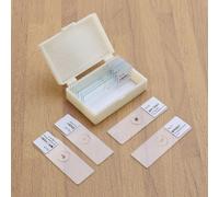 10 PCS/Set Vetrini Microscopio Preparati Per Insetti Preparato Biologici