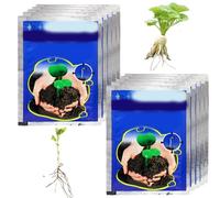 10 pezzi 10 g di polvere radicante per talee di piante Ormone radicale solubile per talee Polvere di acido naftaleneacetico per trapianti e gestione degli alberi..