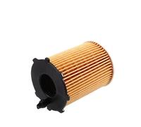 10 pezzi 1610693780 Filtro olio compatibile for CITROEN C3 C4/BERLINGO/JUMPY DS3 DS4 DS5 2008 208 3008 308 5008 Motore diesel