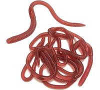 10 Pezzi Artificiale Earthworm,Vermi in Plastica Morbida,Falsi Lombrichi,Giocattoli Simulazione Lombrichi,Giocattolo Realistico di Ggetti di Scena per Il Pesce d'Aprile e Gli Scherzi di Halloween