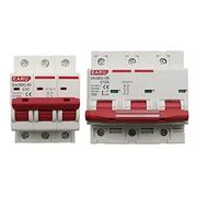 10 pezzi DC 1000V 3P Mini interruttore automatico solare Interruttore di protezione da sovraccarico 6A 16A 20A 25A 32A 50A 63A 80A 100A 125A Fotovoltaico PV MCB(100a)
