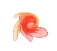 10 pezzi di fazzoletti quadrati per jongliere in seta e chiffon da 60 cm, fazzoletti da danza bicolori per performance, fazzoletti da ginnastica e sciarpe per jongliere, danzare, attività sensoriali