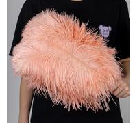10 pezzi di piume di struzzo 15-55 cm bianco rosa nero pennacchi all'ingrosso for la decorazione della festa nuziale artigianato fai da te materiale lampada da terra centro palco(Pink01,50-55cm)