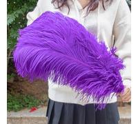 10 pezzi di piume di struzzo 15-55 cm bianco rosa nero pennacchi all'ingrosso for la decorazione della festa nuziale artigianato fai da te materiale lampada da terra centro palco(Purple,50-55cm)
