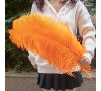 10 pezzi di piume di struzzo 15-55 cm bianco rosa nero pennacchi all'ingrosso for la decorazione della festa nuziale artigianato fai da te materiale lampada da terra centro palco(Orange,50-55cm)