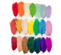 10 pezzi di piume di struzzo 15-55 cm bianco rosa nero pennacchi all'ingrosso for la decorazione della festa nuziale artigianato fai da te materiale lampada da terra centro palco(Mixed Colors,25-30cm)