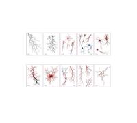 10 pezzi di tatuaggi for cellule vascolari di simulazione scura europea e Linea semplice Tatuaggi usa e getta impermeabili for il sudore W×L (105mm×148mm)(Mixed loading)