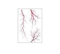 10 pezzi di tatuaggi for cellule vascolari di simulazione scura europea e Linea semplice Tatuaggi usa e getta impermeabili for il sudore W×L (105mm×148mm)(F063)