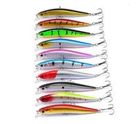 10 Pezzi Esche da Pesca，3D Esche Artificiali，Esca Finta Pesca Mare，per Trota Spigola Luccio, Pesca Accessori Kit per Acqua Dolce e Salata.