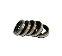 10 pezzi Guarnizione olio VE Pompa Diesel 20 * 30 * 7/20 * 31 * 7/17 * 28 * 7 for WL 4JG2 2C 1KZ 4M40 L200 16743-89TA0/RF01-24-012/ME741215/16721-V0700(17x28x7 10PCS)