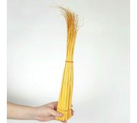 10 pezzi/lotto 45-50 cm piume di struzzo dure, accessori per copricapi, spine di penna per fai da te, artigianato di modisteria, piume dorate, 45-50 cm