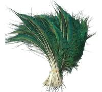 10 pezzi/lotto piume di pavone naturali per centrotavola artigianali, pavoni, spade decorative, accessori artigianali fai da te - 20 pezzi di pavoni, spade
