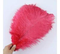 10 pezzi/lotto piume di struzzo bianche naturali 15-35 cm piume di struzzo colorate per feste, matrimoni, decorazioni per la casa, centrotavola, artigianato - rosso anguria - 20-25 cm
