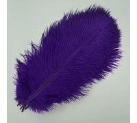 10 pezzi/lotto piume di struzzo colorate per artigianato bianco nero grandi piume decorazione centrotavola gioielli artigianato decorazione-viola-50-55 cm 20-22 pollici