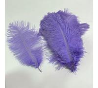 10 pezzi/lotto piume di struzzo colorate per centrotavola artigianali, decorazioni per matrimoni, accessori artigianali, decorazioni di carnevale Pluma-15 viola chiaro-35-40