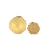 10 pezzi/lotto SM1016-F 1/2 1-1/2 Tappo terminale maschio in ottone for raccordo for riscaldamento 'acqua(1-2inch)