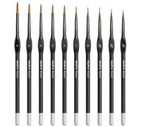 10 Pezzi Pennelli per Dipingere Set Pennelli Fine Pittura con Custodia per