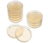 10 Pezzi Piastre di Petri con Agar Nutriente 7cm per Microbiologia | Preversate, Facili da Usare, per Lezioni di Scienze e Esperimenti Stem, Durata di Conservazione 6 Mesi
