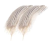 10 Pezzi Piume Argento per Decorazioni Fai, Acchiappa Sogni e Vasi | Trattamento, Tagliabili su Misura, Mantengono la Forma, Non Perdono Facilmente, Feste