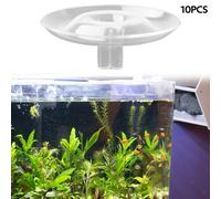 10 pezzi portafiori idroponici per camino di San Valentino