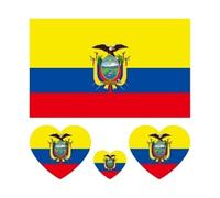 10 pezzi/set tatuaggio temporaneo bandiera nazionale adesivo tatuaggio finto regionale impermeabile usa e getta attività corporee for donne e uomini (Color : Ecuador, Size : A)