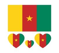 10 pezzi/set tatuaggio temporaneo bandiera nazionale adesivo tatuaggio finto regionale impermeabile usa e getta attività corporee for donne e uomini (Color : Cameroon, Size : A)